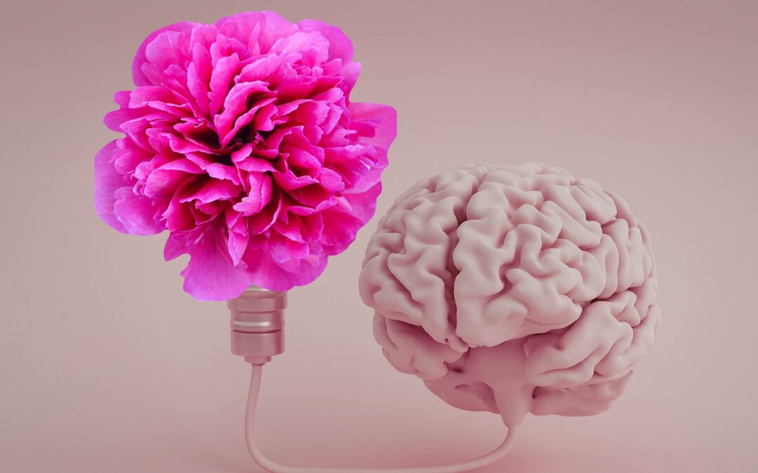 La mémoire émotionnelle : pourquoi les expériences multisensorielles restent plus longtemps en nous