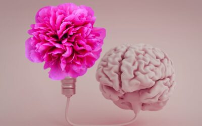 La mémoire émotionnelle : pourquoi les expériences multisensorielles restent plus longtemps en nous